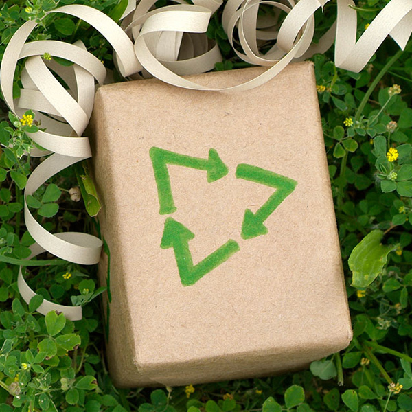 sustainable packaging image