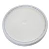 Picture of 3.5-6 Gallon White  HDPE Cover, EPDM Gasket, UN Rated