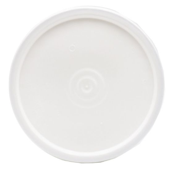 Picture of 3.5-6 Gallon White HDPE Plastic Pail Tear Tab Pail Cover